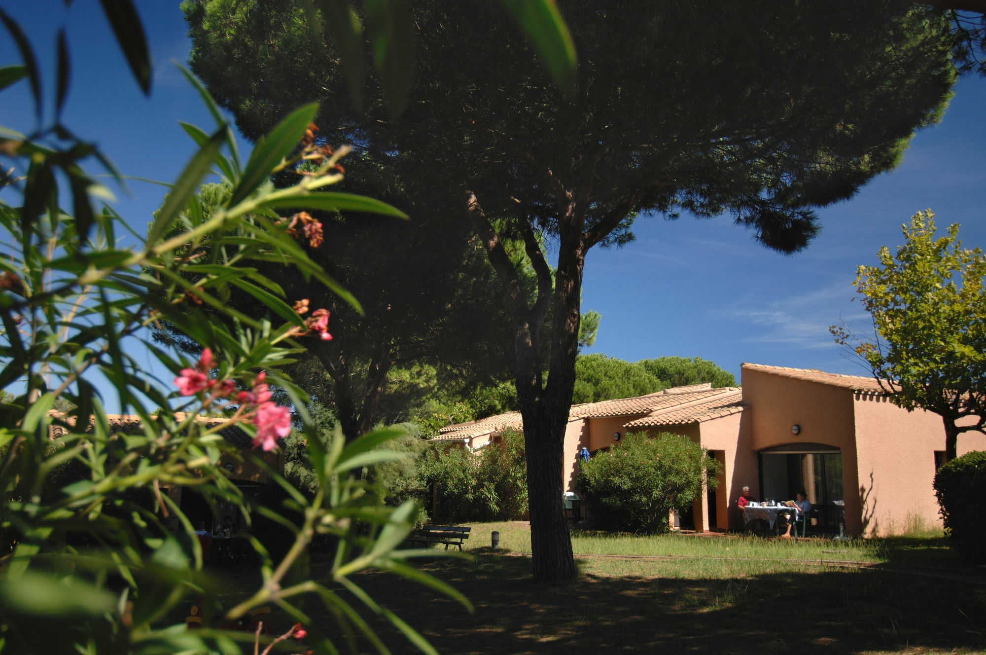 Residence Odalys Saint Loup Agde Zewnętrze zdjęcie